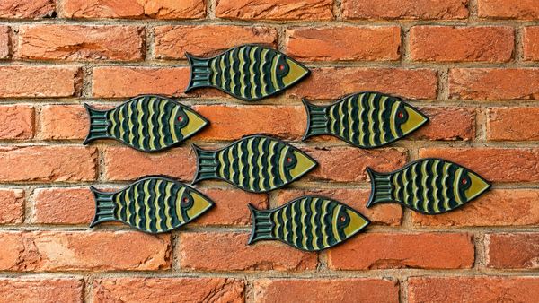Fischschwarm