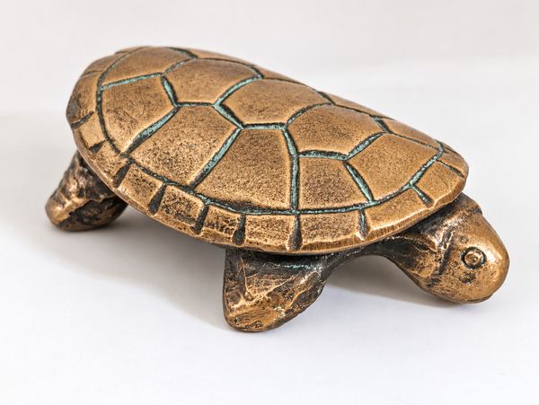 Schildkröte