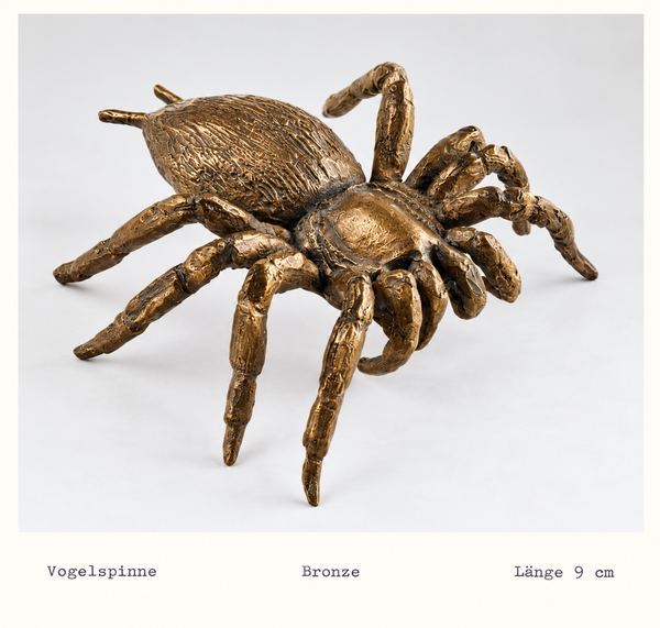 Vogelspinne